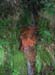 Madeira_092