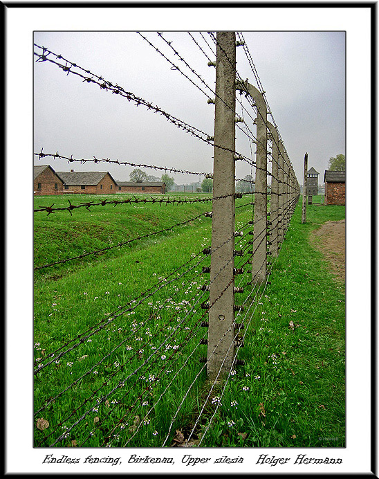 Polen_007