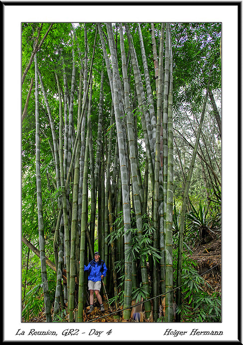 Reunion&Mauritius_025