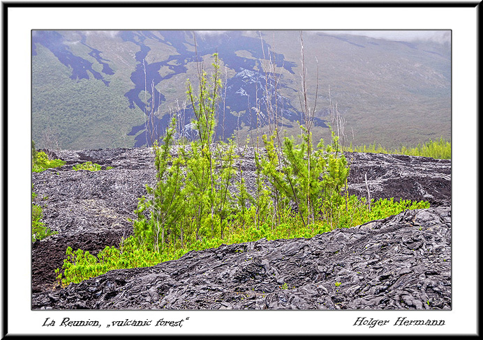 Reunion&Mauritius_108