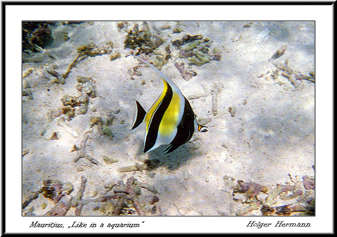 Reunion&Mauritius_128
