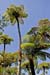 Reunion&Mauritius_093