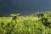 Reunion&Mauritius_110
