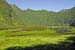 Reunion&Mauritius_111
