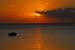 Reunion&Mauritius_150