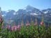 Loetschental_3