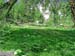 Binn_Valley_1