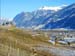 Vineyard_2