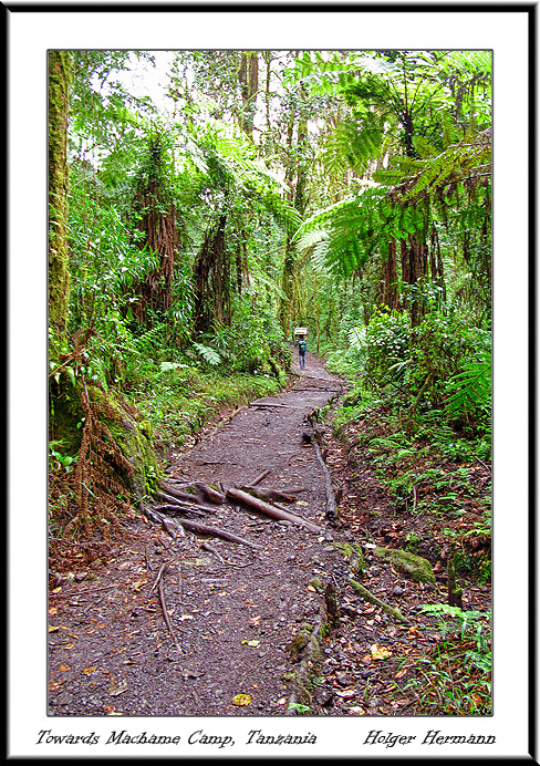 Kili_008
