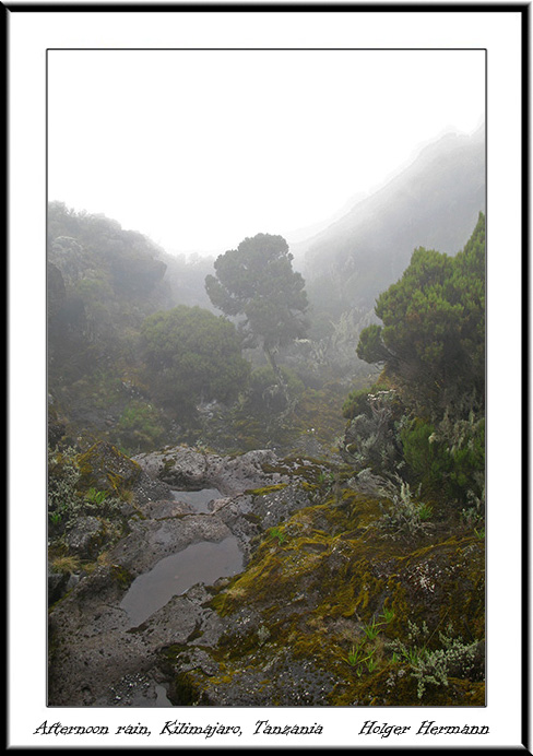 Kili_017