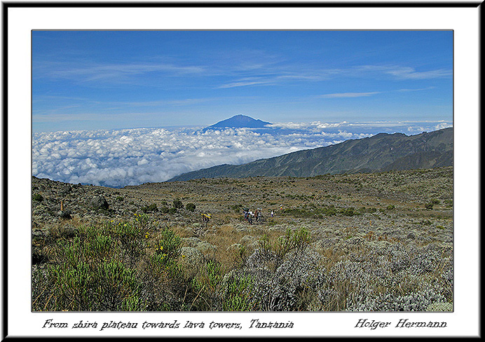 Kili_026