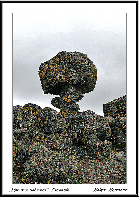 Kili_028