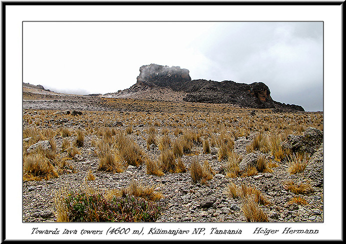 Kili_029