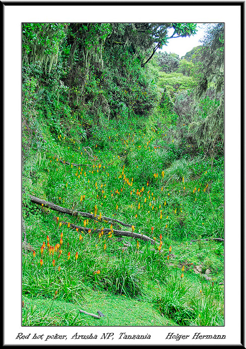 Mt_Meru_041
