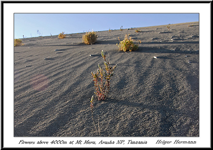 Mt_Meru_056