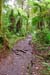 Kili_008