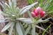 Kili_016