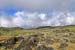 Kili_021