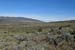 Kili_025