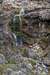 Kili_030
