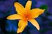 Mt_Meru_005