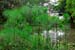 Mt_Meru_010