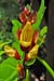 Mt_Meru_014