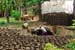Mt_Meru_019