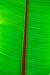 Mt_Meru_028