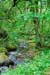 Mt_Meru_029