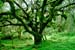 Mt_Meru_030