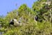 Mt_Meru_034