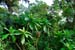 Mt_Meru_036