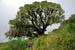 Mt_Meru_037