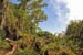 Mt_Meru_038
