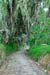 Mt_Meru_040