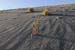 Mt_Meru_056