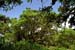 Mt_Meru_060