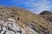 Schoellijoch_35