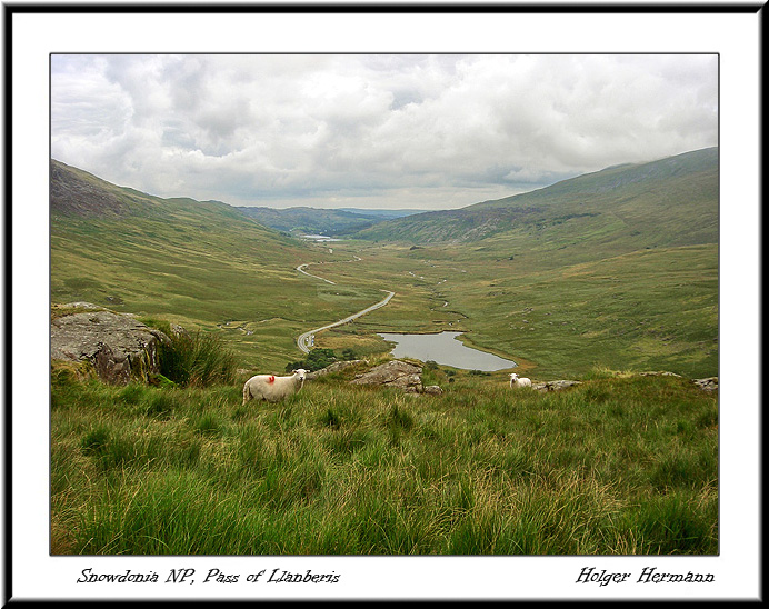 Wales_009