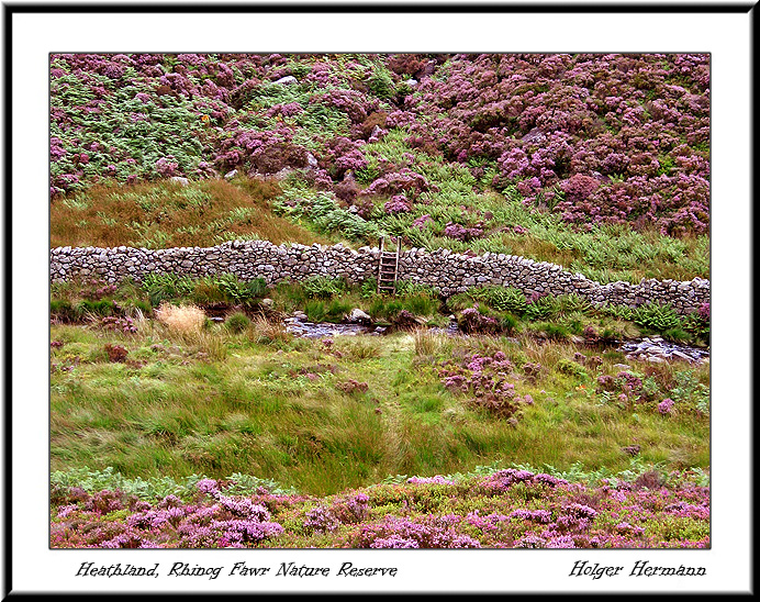 Wales_030