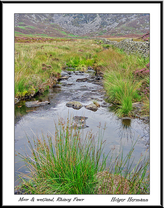 Wales_031