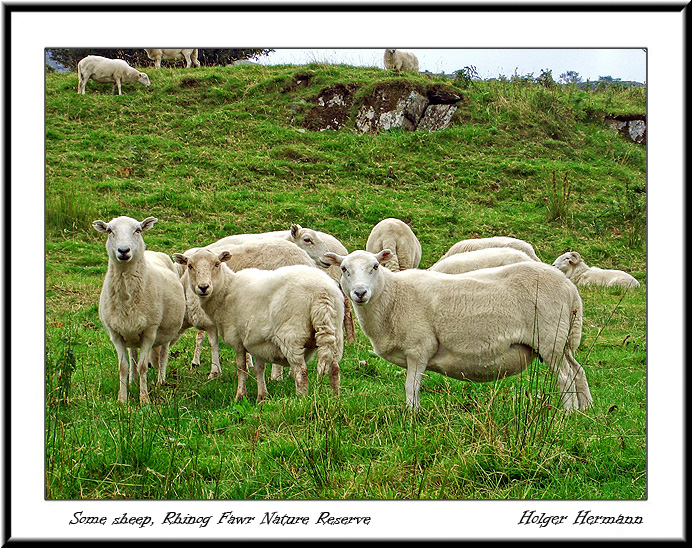 Wales_038