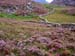 Wales_029