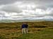 Wales_043