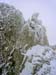 Weissmies_028